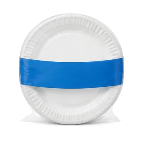 Dixie Paper Plates 100 ct